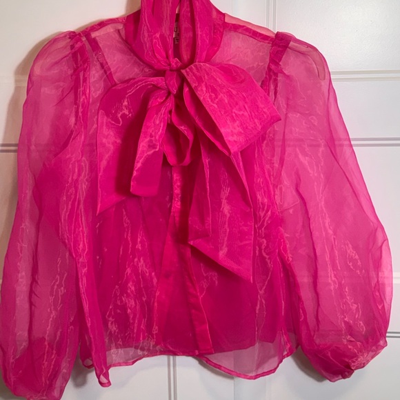 Elegant Pink Sheer Blouse - Picture 1 of 3